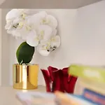 Apartment De Rolandis *